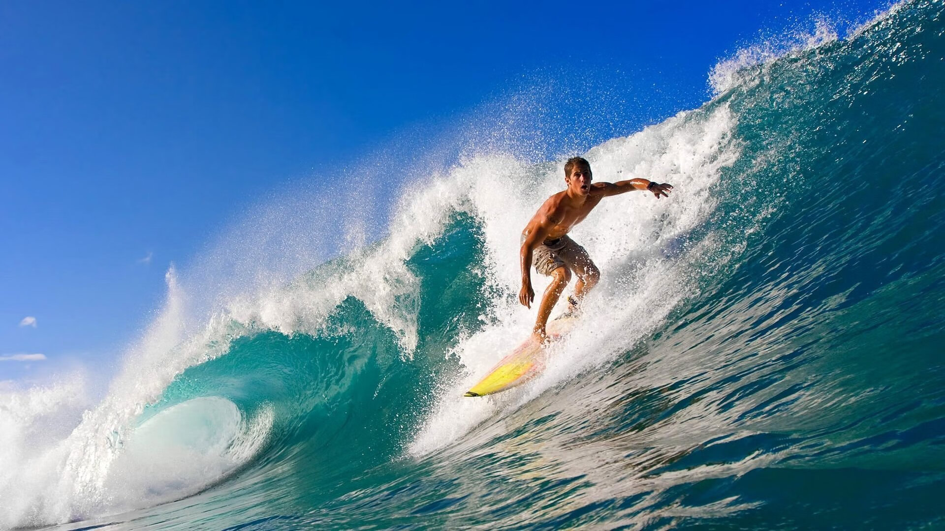 “经典战役：最令人难忘的总决赛瞬间”，经典战役图片