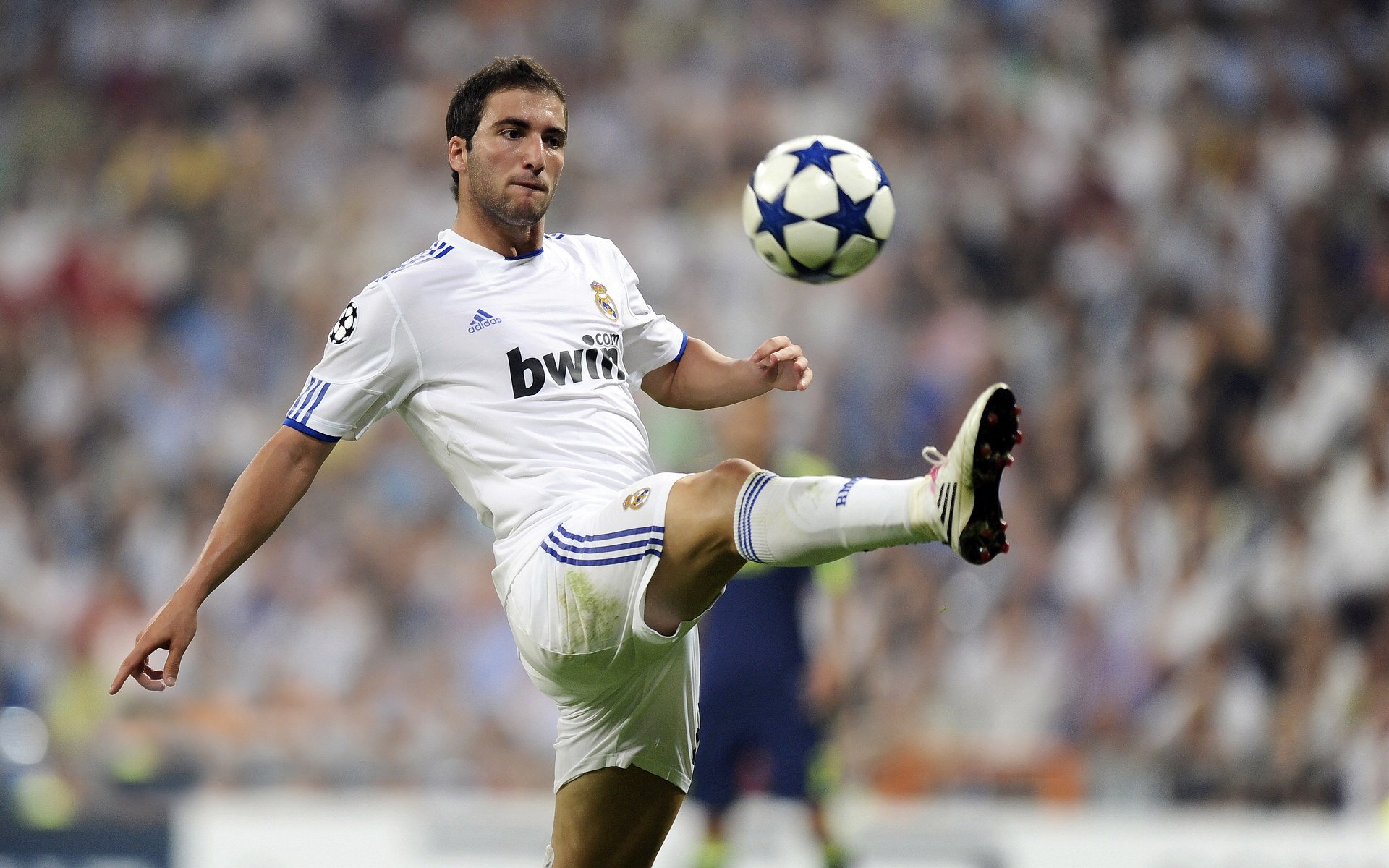 德甲主场氛围带动球队士气,德甲的球场